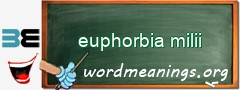 WordMeaning blackboard for euphorbia milii